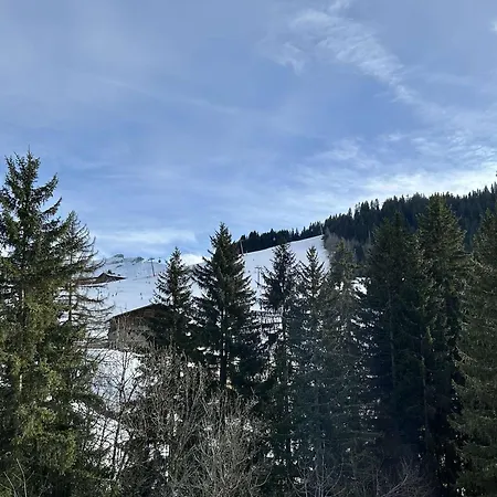 2 Pieces + Coin Nuit, 4-6 Couchages Avec Balcon Et Parking A - Fr-1-597-191 Apartment *